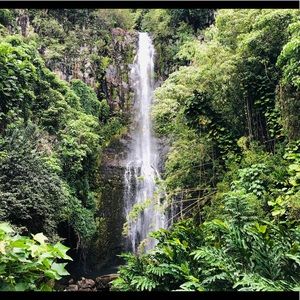 Meet your Posher, Larysa